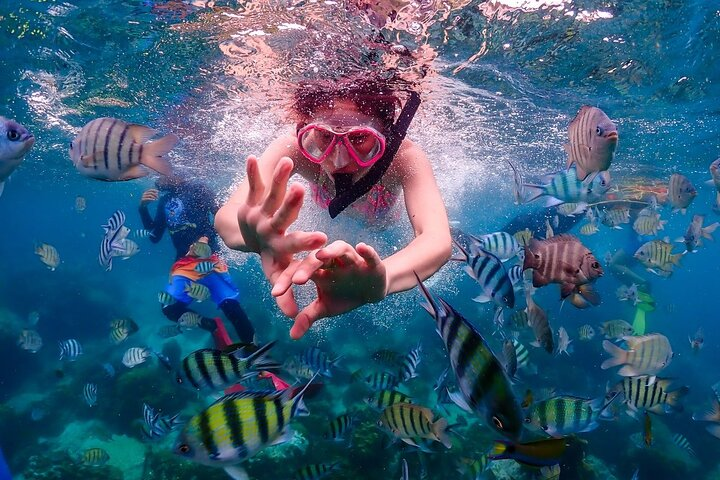 Nemo Island Full Day Tour by Speedboat with Snorkeling Experience - Photo 1 of 11