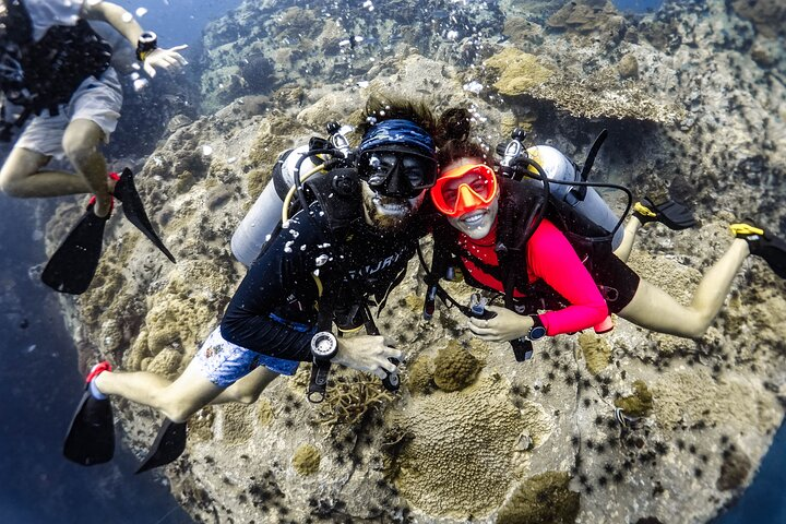Open Water Course - Become certified diver in 3 days - Photo 1 of 7