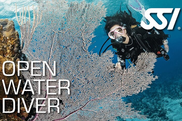 Open Water Course in Koh Samui - Photo 1 of 12