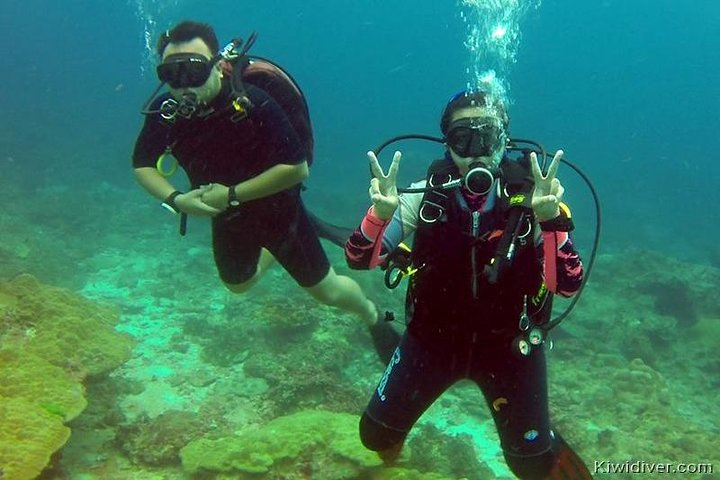 Open water scuba certifiication course with beach dives  - Photo 1 of 4