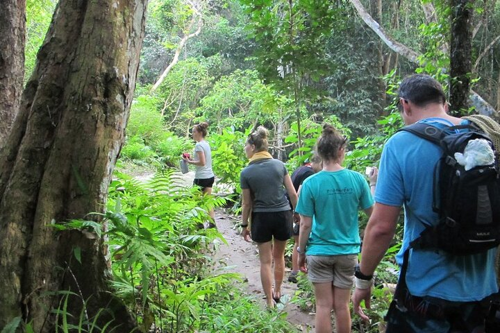 Chiang Dao mountain trek