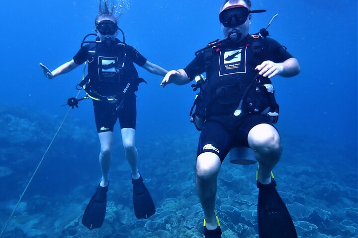 PADI Discover Scuba Dive Experience - Photo 1 of 7
