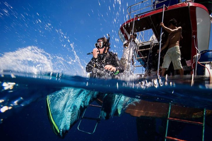 Discover Scuba Diving