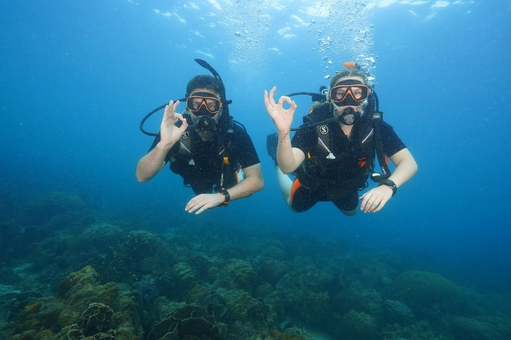 Padi open water diver course, become a diver in 3 days - Photo 1 of 8