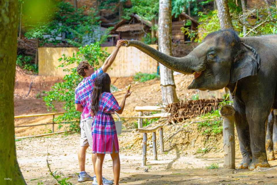 Patong Hug Elephant Sanctuary with Hotel Transfer | Phuket - Photo 1 of 8