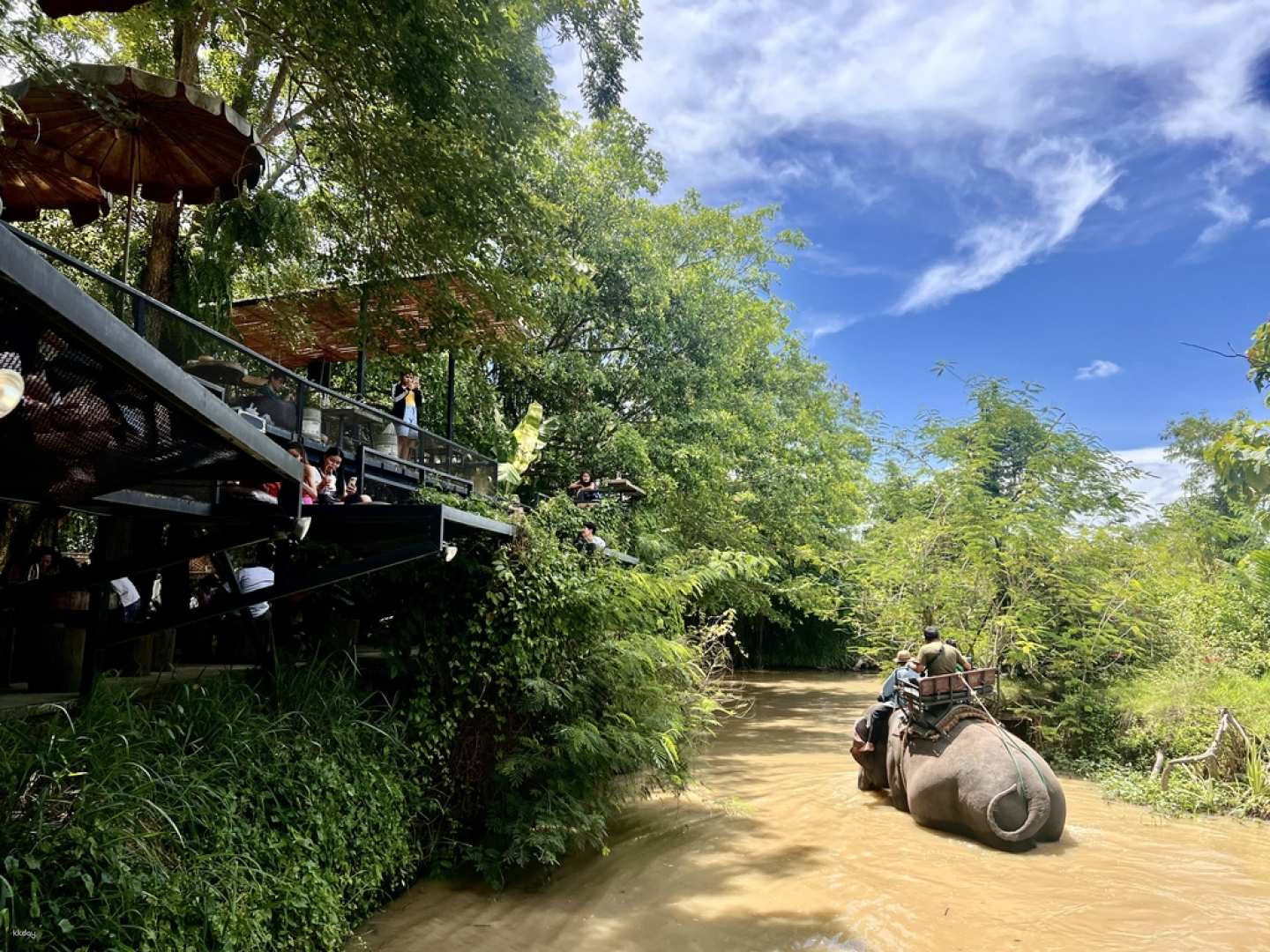 Experience the lush jungle setting while enjoying a drink at the Elephant Cafe watching serene interactions with elephants and soaking in the natural beauty of a Pattaya adventure.