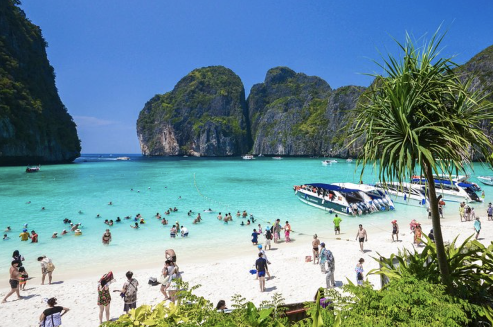 Phi Phi Island, Maya Bay & Khai Island Speedboat Full Day Tour from Phuket | Thailand - Photo 1 of 6