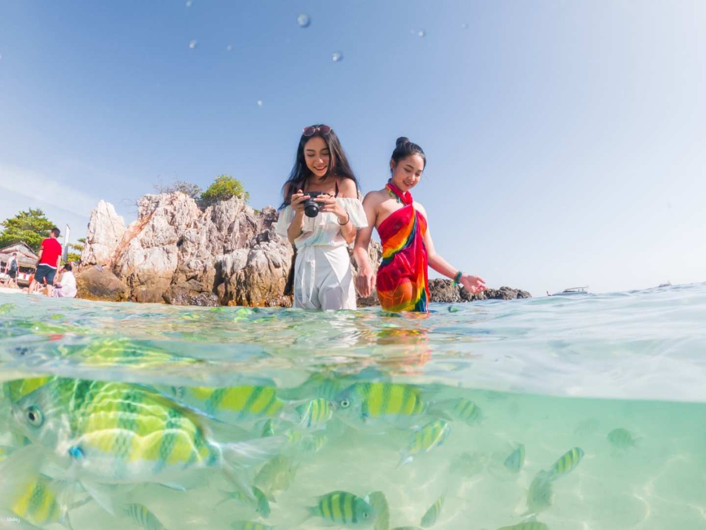 Discover the beauty of crystal-clear waters and colorful marine life while snorkeling at Phi Phi Islands. Embrace the joy of exploring tropical wonders alongside friends in this paradise getaway.