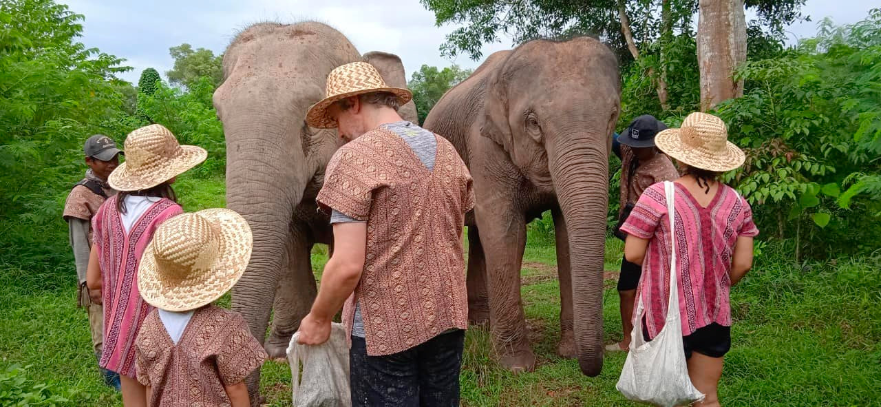 Meet rescued elephants in their peaceful home as you witness them foraging and splashing in nature’s embrace. An unforgettable experience awaits those seeking connection with these gentle giants.