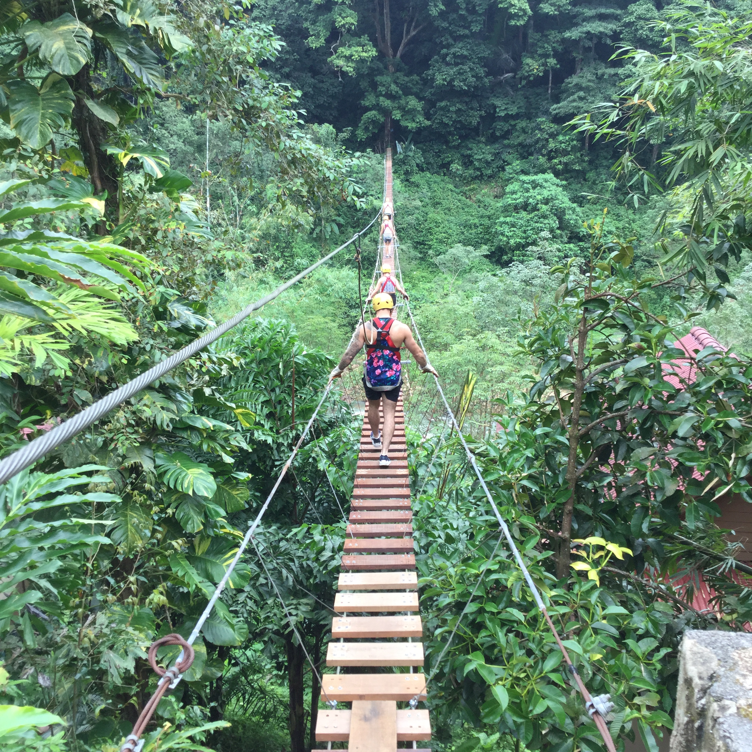 Anda Adventure Phuket Rafting and Elephant Trekking - Photo 1 of 2