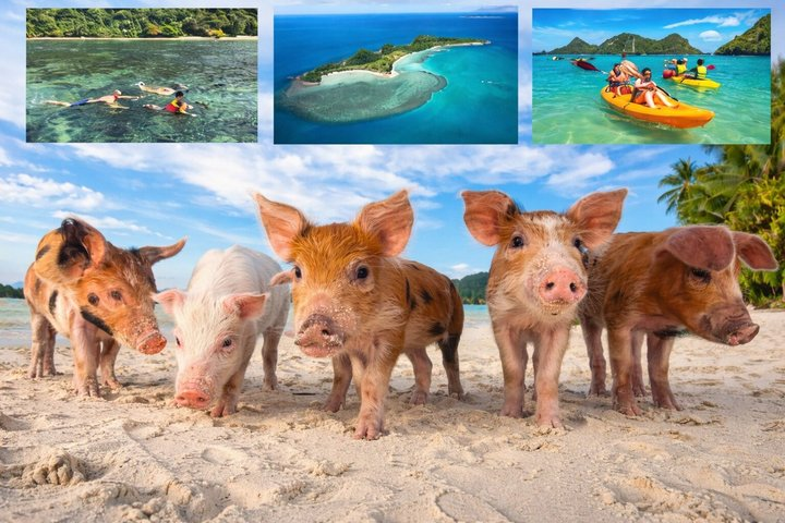 Pig Island Experience By Speed Boat, Snorkeling, Kayaking Relaxing on the Beach - Photo 1 of 25