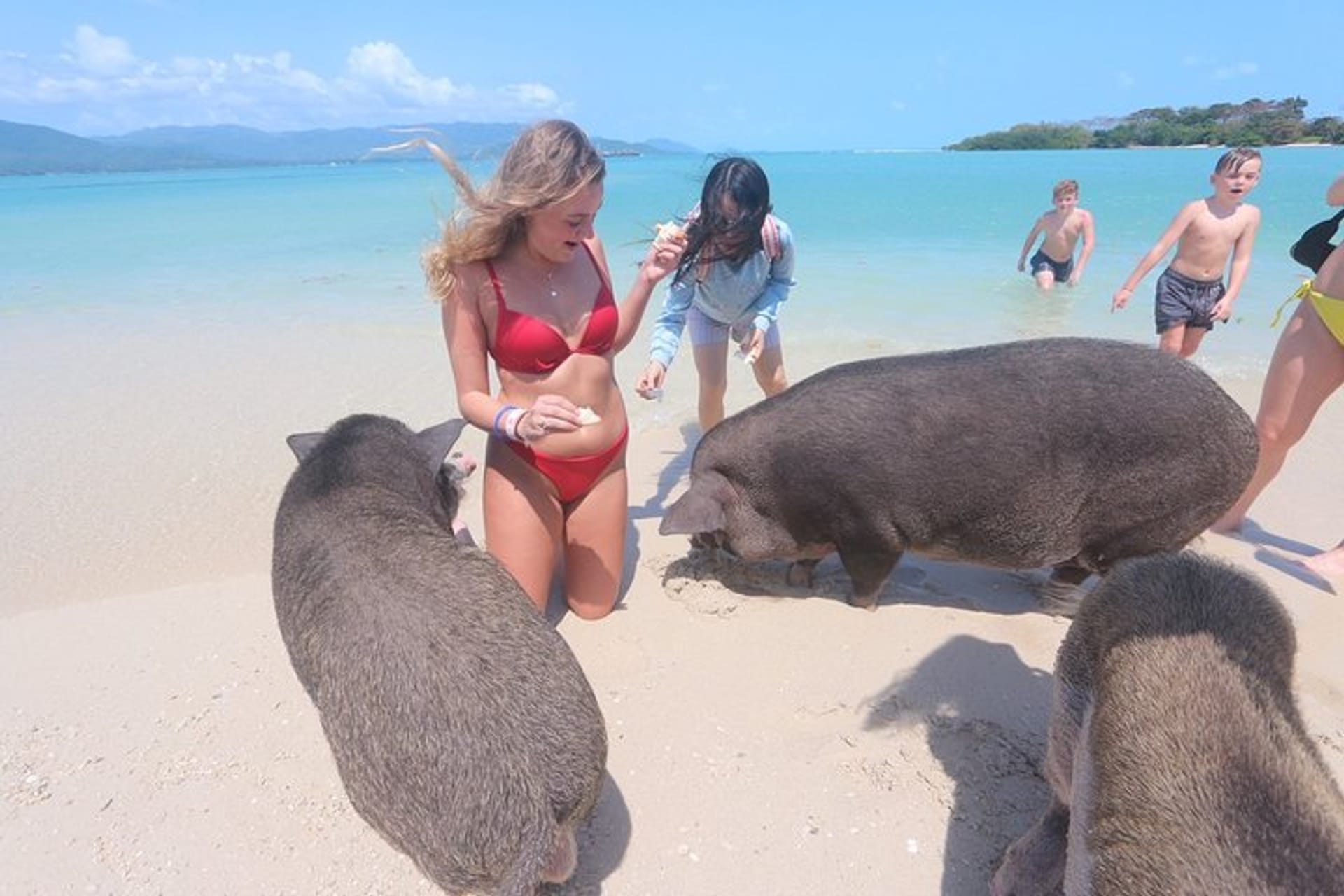Koh Madsum (Pig Island) near Samui