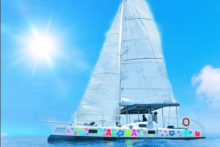 Private Catamaran Cruise Charter Koh Samui & Islands nearby - Photo 1 of 25