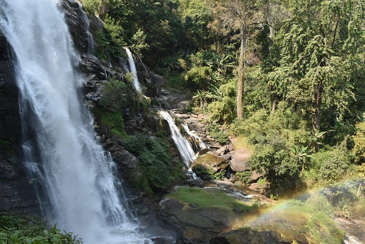 Best Care elephant in chiangmai  - Photo 1 of 9