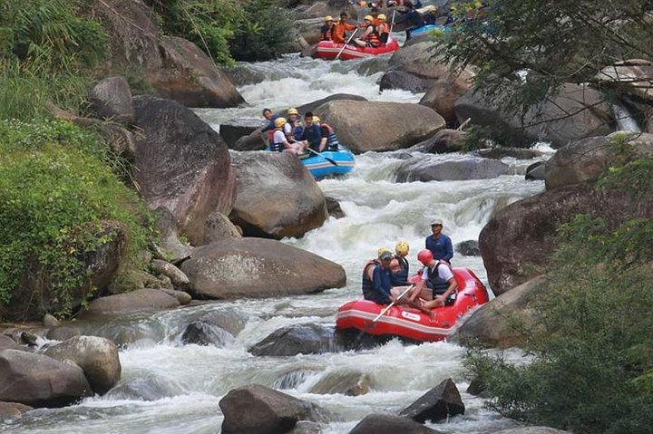Rafting 5 km, ATV 30 Mins, Fly Fox and Jungle Tour From Phuket - Photo 1 of 25