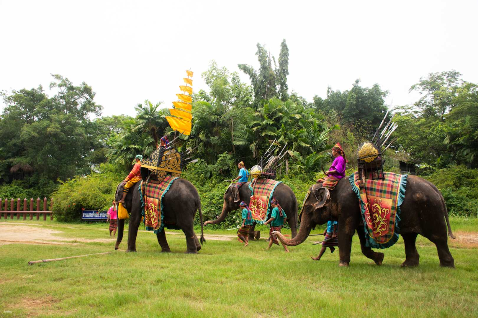 Samphran Elephant Ground & Crocodile Zoo Ticket | Thailand - Photo 1 of 10