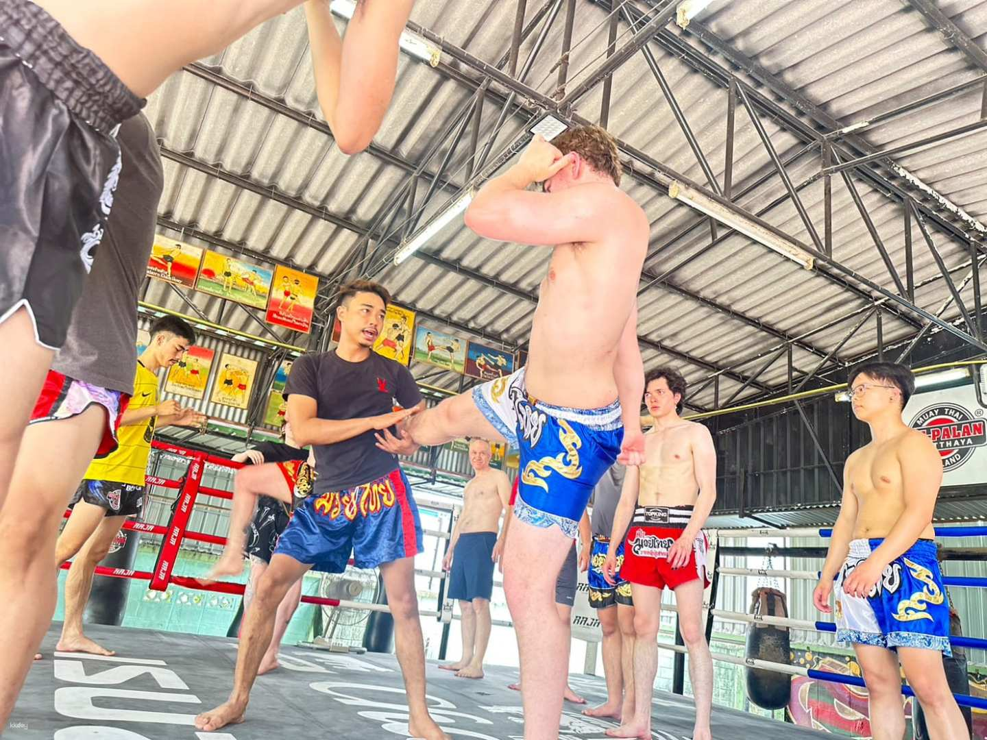 Experience the intensity of Muay Thai training at Ayutthaya’s renowned gym. Join diverse fighters refining their skills while embracing the rich traditions of this ancient martial art in an engaging setting.