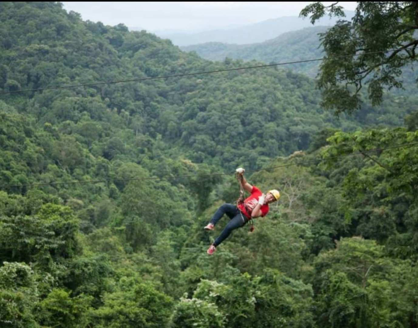 Soar above the lush jungle canopy on the Sky Hawk Zipline taking in stunning views while enjoying a unique perspective of Chiang Mai's natural beauty and excitement.