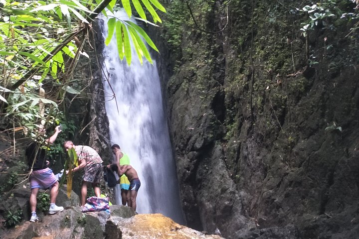 Small-Group Jungle Hiking Excursion in Khao Phra Teaw Park - Photo 1 of 18