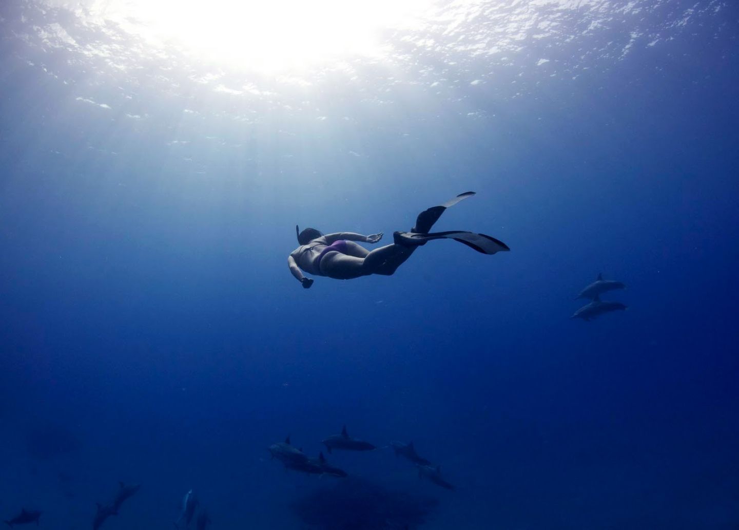 Experience the tranquility of underwater exploration while mastering the essentials of freediving. The serene blue waters and diverse marine life create the perfect backdrop for your adventure in Phuket.
