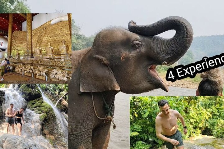  Elephants Sanctuary, Sticky waterfalls, local market, temple. - Photo 1 of 18
