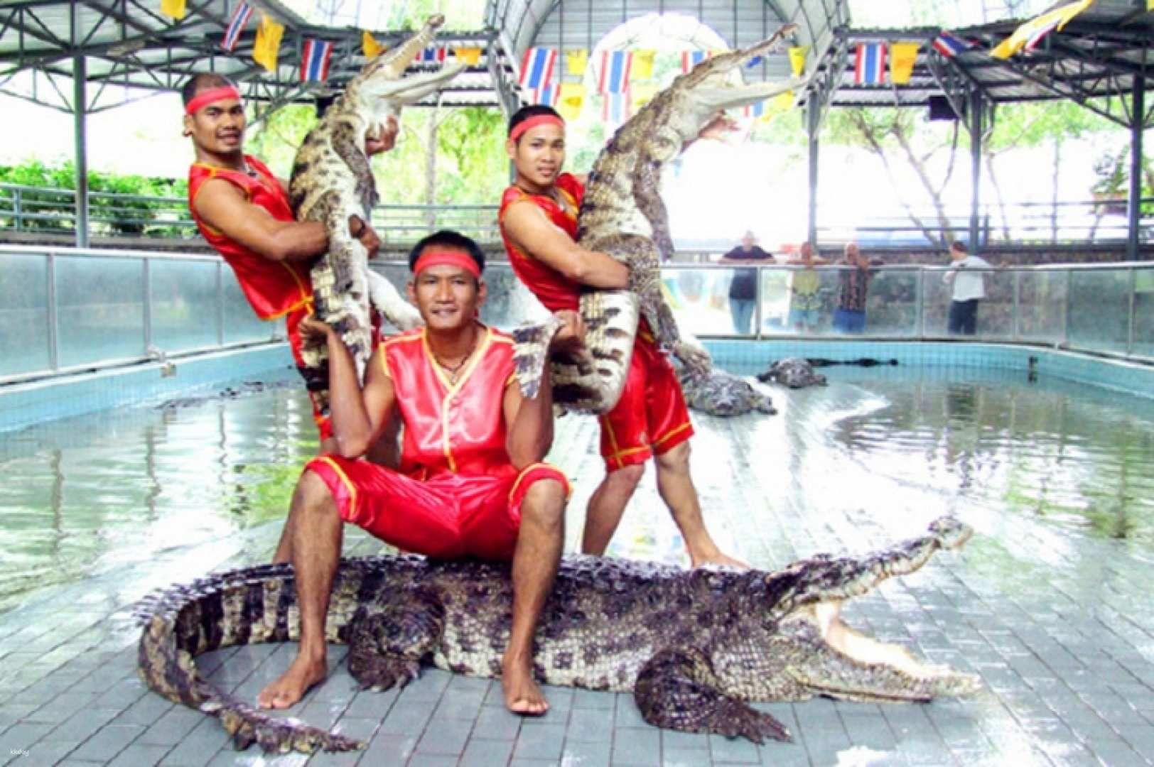 Thailand Pattaya Crocodile Farm Private Half-Day Tour (Bangkok Departure/Pattaya Drop-off) - Photo 1 of 5