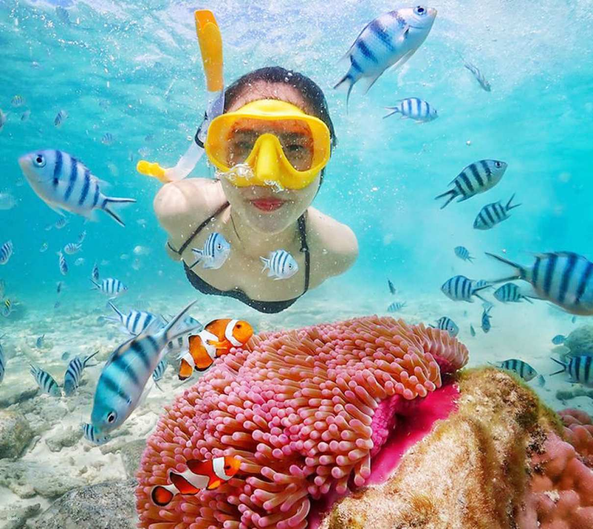 Pattaya Nemo Island Day Tour + Underwater Photography - Photo 1 of 7