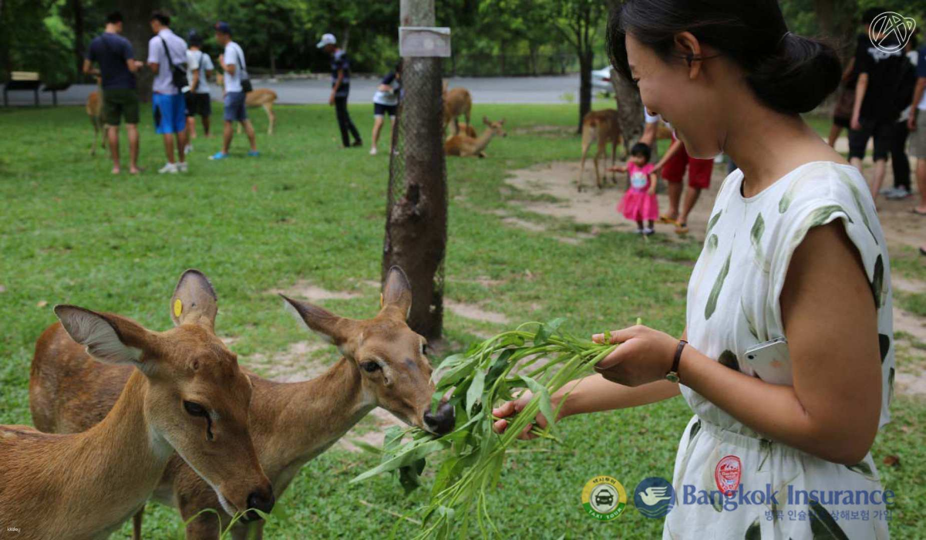 Pattaya New Khao Kheow Open Zoo Private Tour (From Bangkok/Pattaya) - Photo 1 of 6