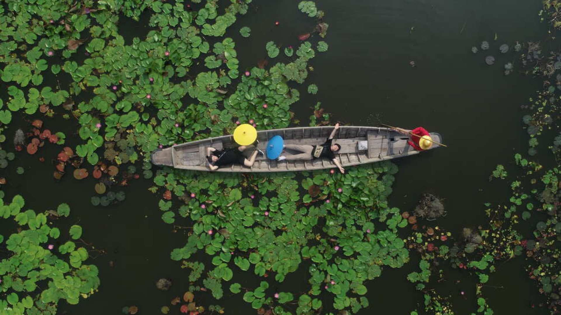 Glide through serene waters on a charming boat surrounded by lush lotus blooms capturing unforgettable moments and breathtaking views that showcase Thailand’s natural beauty and cultural richness.