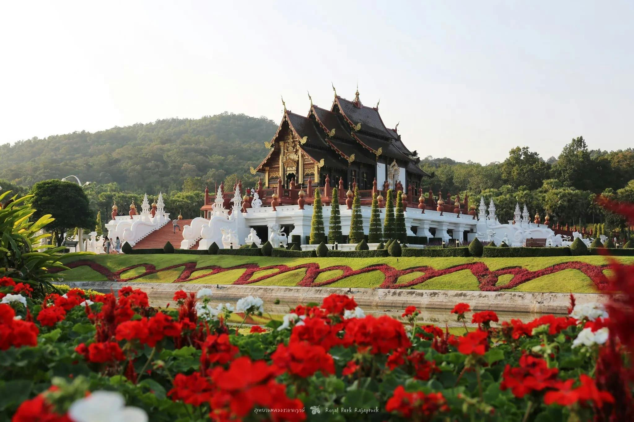 Chiang Mai Day Pass: 64+ Benefits with Maeping River Cruise - Photo 1 of 8
