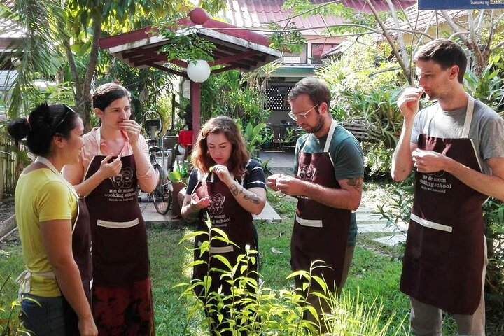 Thai Food Culture and Cooking Techniques from Our Garden In Chiang Mai - Photo 1 of 25