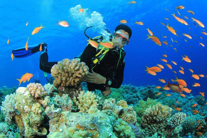 Thai Holidays (Divers Package) - Photo 1 of 4