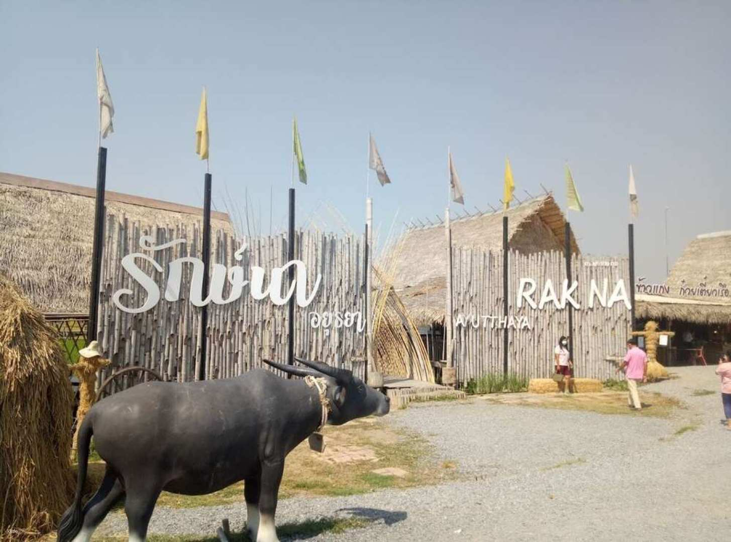 Thailand Ayutthaya + RAK NA Cafe exclusive half-day tour (morning or afternoon) - Photo 1 of 9