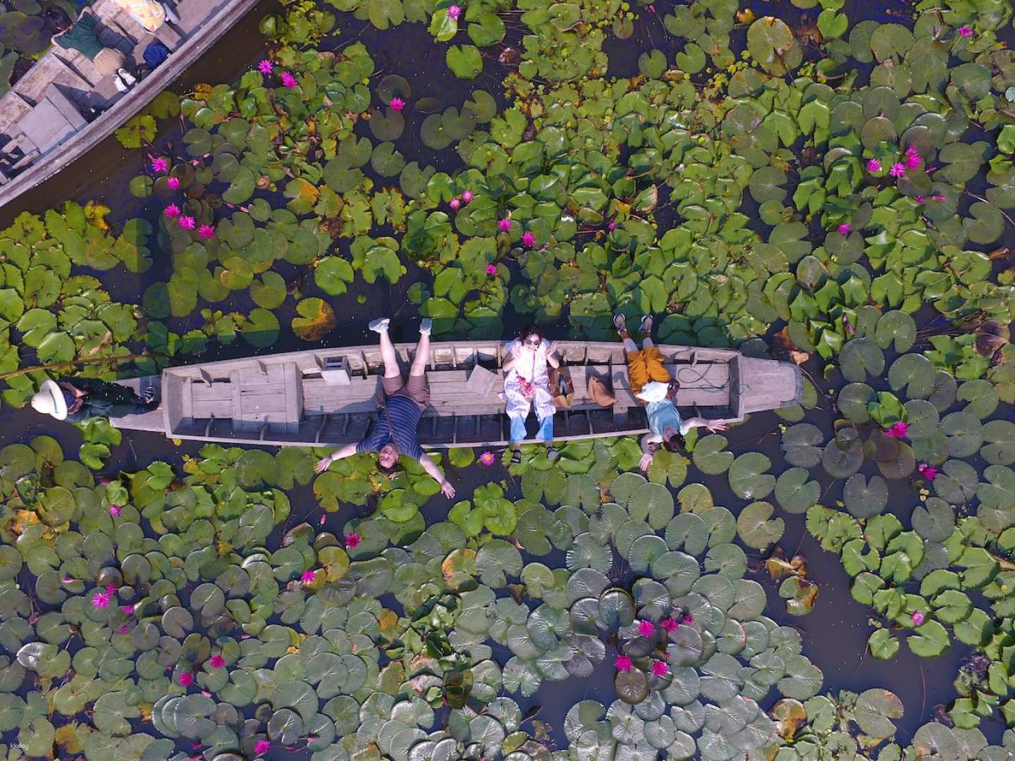The Beauty of Nakhon Pathom: Red Lotus Field with Drone Photos,  Airplane Cafe & Wat Sampran  | Thailand - Photo 1 of 8