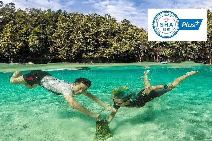 Thailand’s Last Lowland Rainforest - A Hidden Gem Tour - Photo 1 of 12