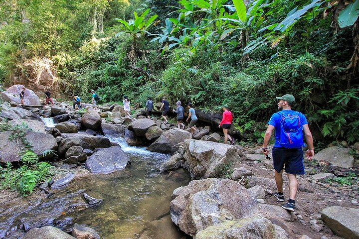Trekking in Chiang Mai