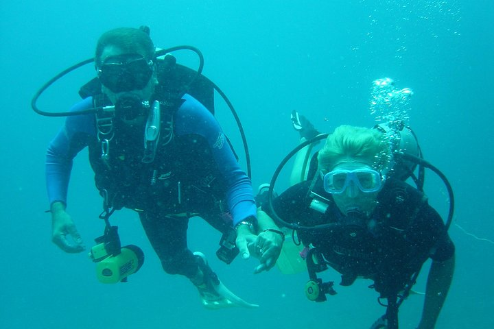 Dive with your instructor by your side