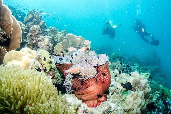 Try Scuba Diving 2 Dives Bang Bao  - Photo 1 of 6