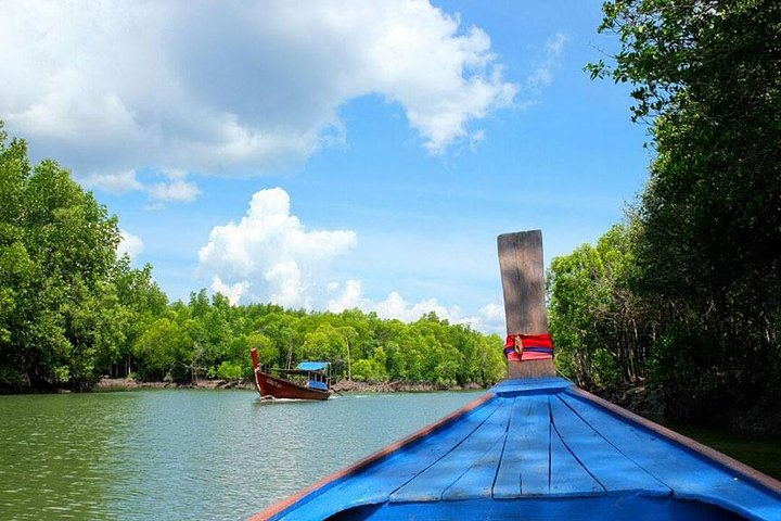 Tung Yee Peng Mangrove Forest Tour By Longtail Boat From Koh Lanta - Photo 1 of 19