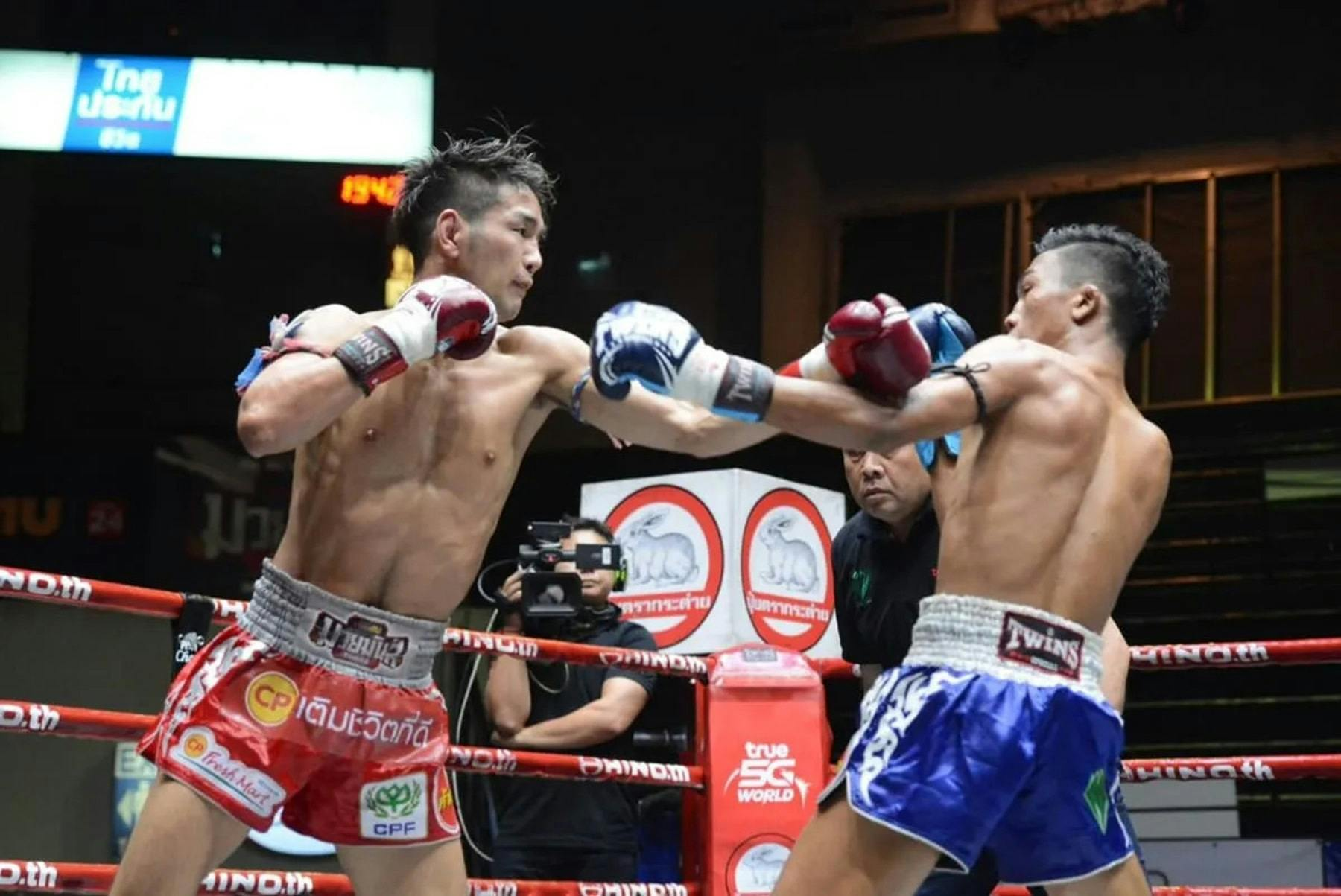 Muay Thai Match Bangkok: World Siam Stadium Ringside Seat + Free T-Shirt - Photo 1 of 4
