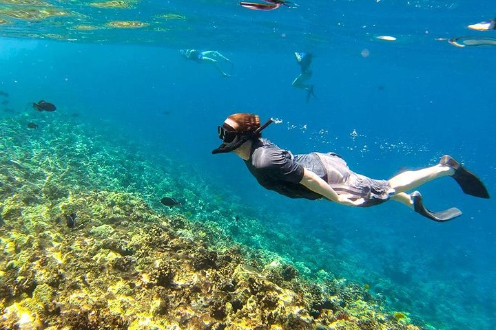 Dive into the crystal-clear waters teeming with marine life exploring stunning coral reefs and swimming alongside colorful clownfish. Experience the serene beauty of Yawasam Island and Talu Island.
