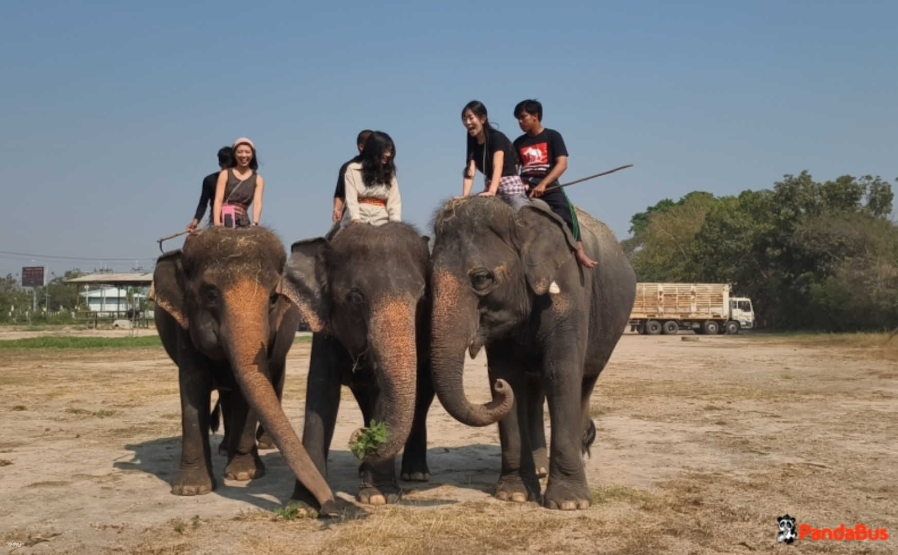 A half-day morning tour where you can fully interact with elephants for about 2 hours (Elephant riding or elephant walking) Includes a Japanese guide, hotel pick-up, and lunch plan - Photo 1 of 9