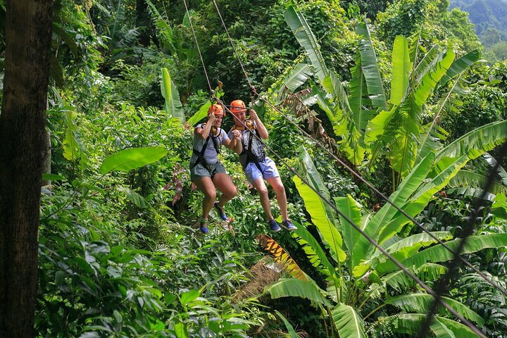 Zipline & Coffee with Waterfall Views in Koh Samui - Photo 1 of 25