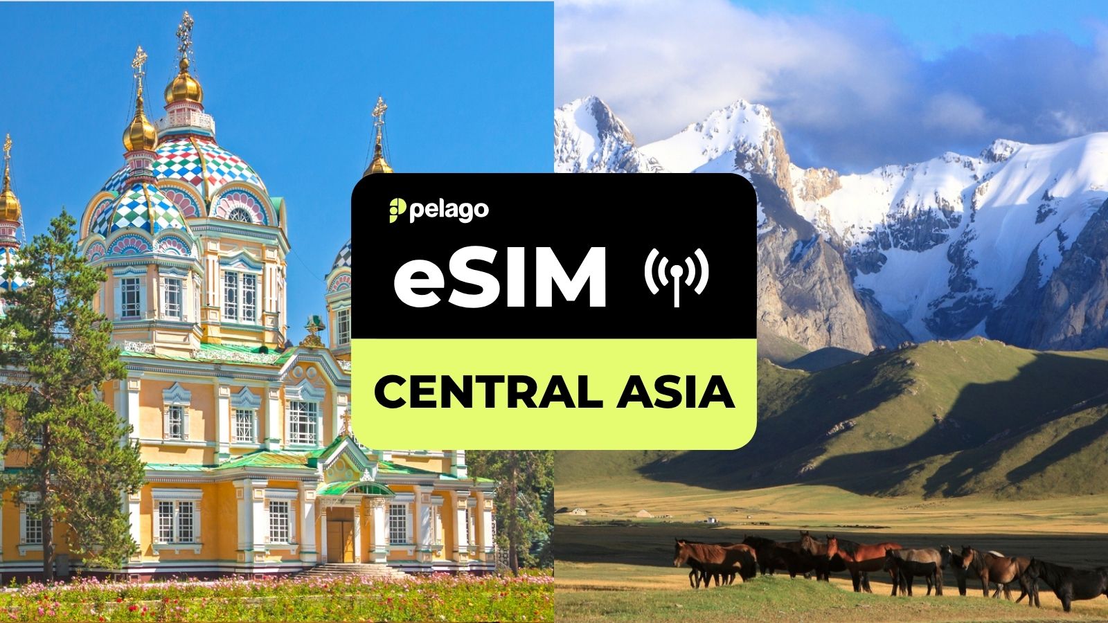 Central Asia eSIM by Pelago - Photo 1 of 4