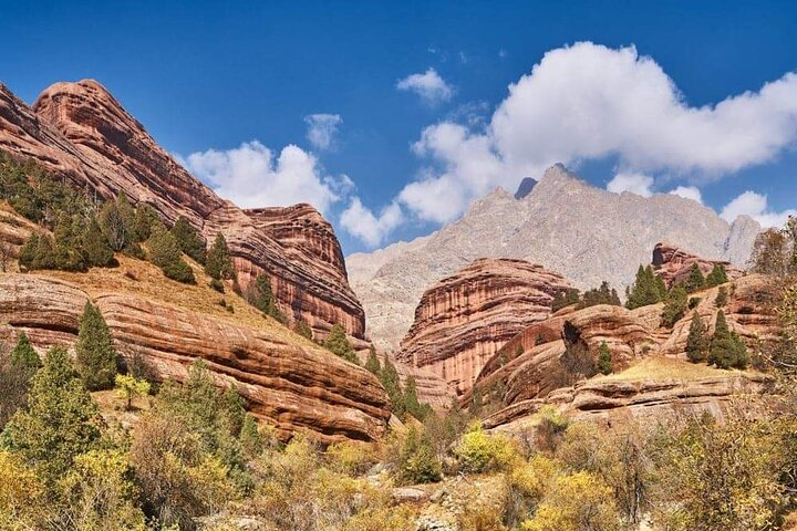 Shirkent Park, Dinosaur Tracking, One-Day tour - Photo 1 of 17