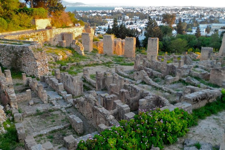 Historical Tour of Ancient Carthage - Photo 1 of 8