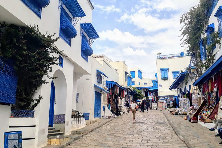 チュニス の Picturesque Village Of Sidi Bou Said + Tunis Old