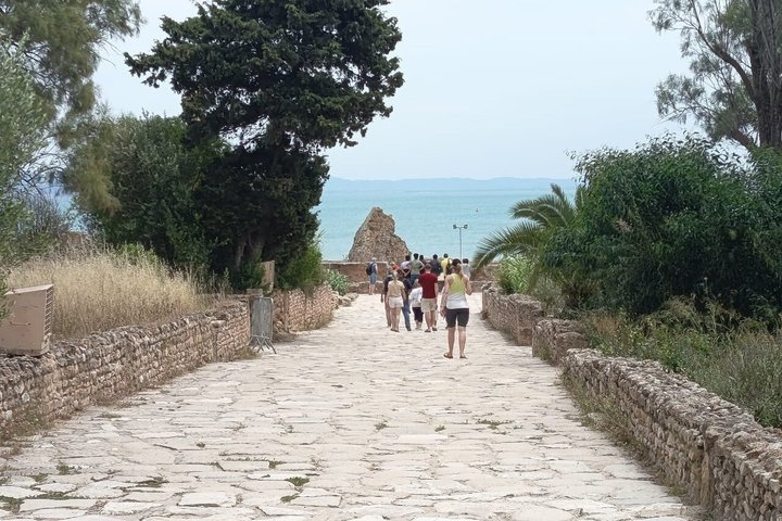 Private Guided Excursion Tunis, Carthage and Sidi Bou Said from Hammamet - Photo 1 of 7