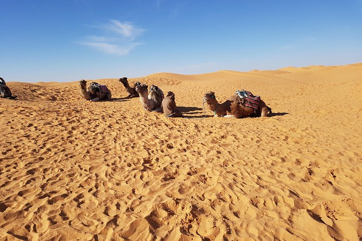 Tatouine - Cheneni - Ksar Ghuilaine - Matmata: 2 days visit - Photo 1 of 15