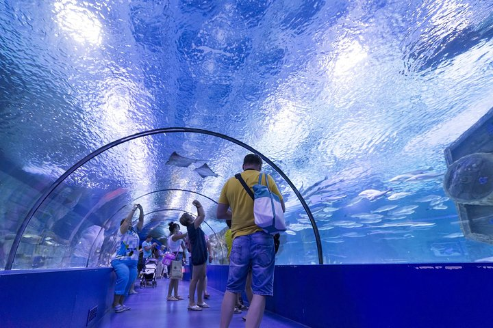 Kemer: Antalya Aquarium Ticket With Optional Transfer - Photo 1 of 10
